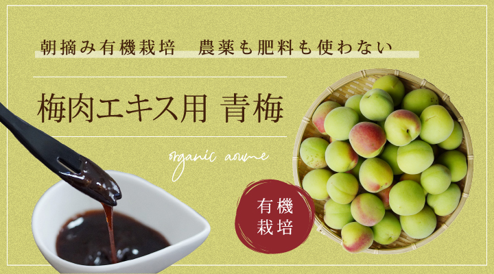 生梅の産地直送（産直）通信販売（通販） 紀州無農薬生梅 梅肉