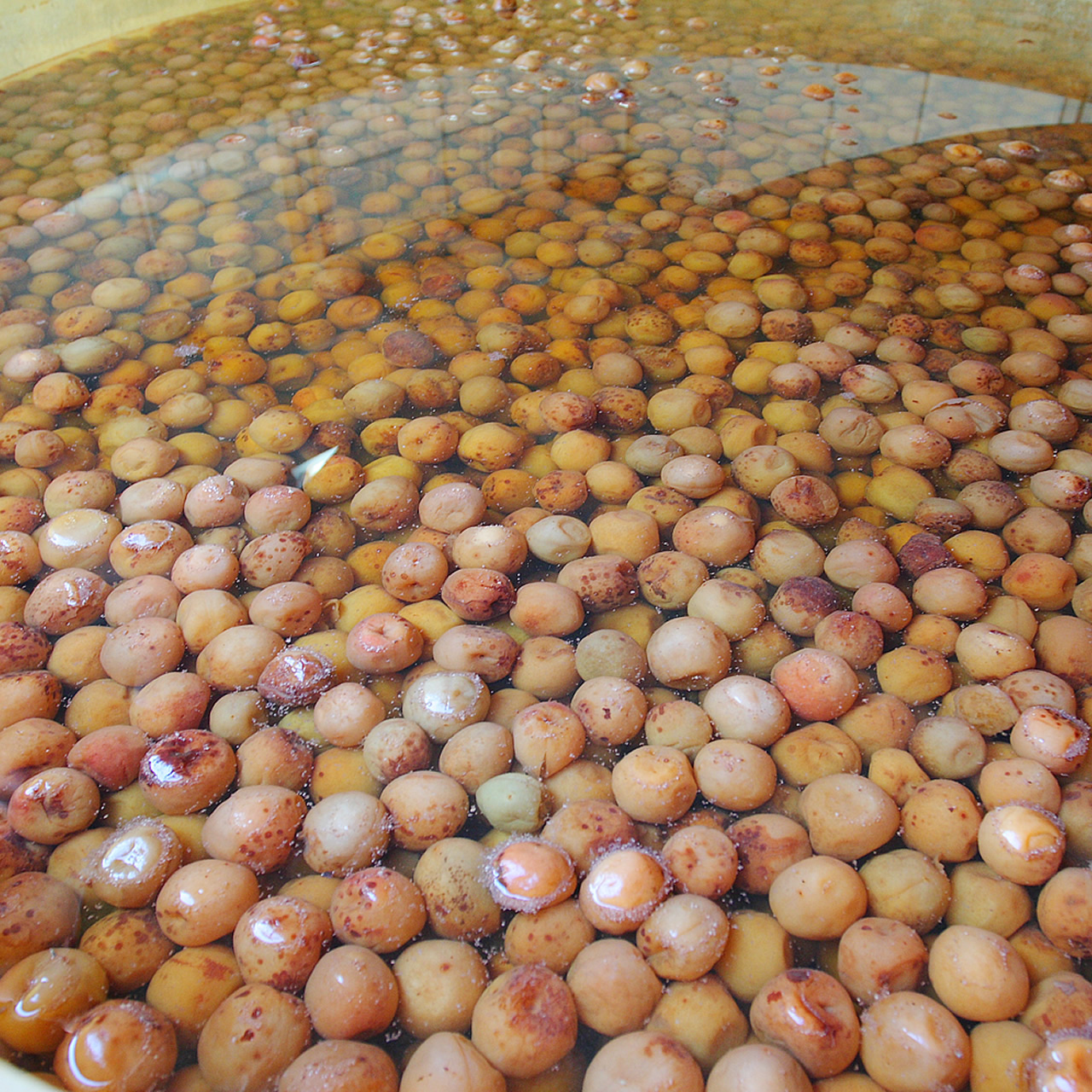 有機栽培している梅と天然海水塩のみで作る有機赤シソ梅酢