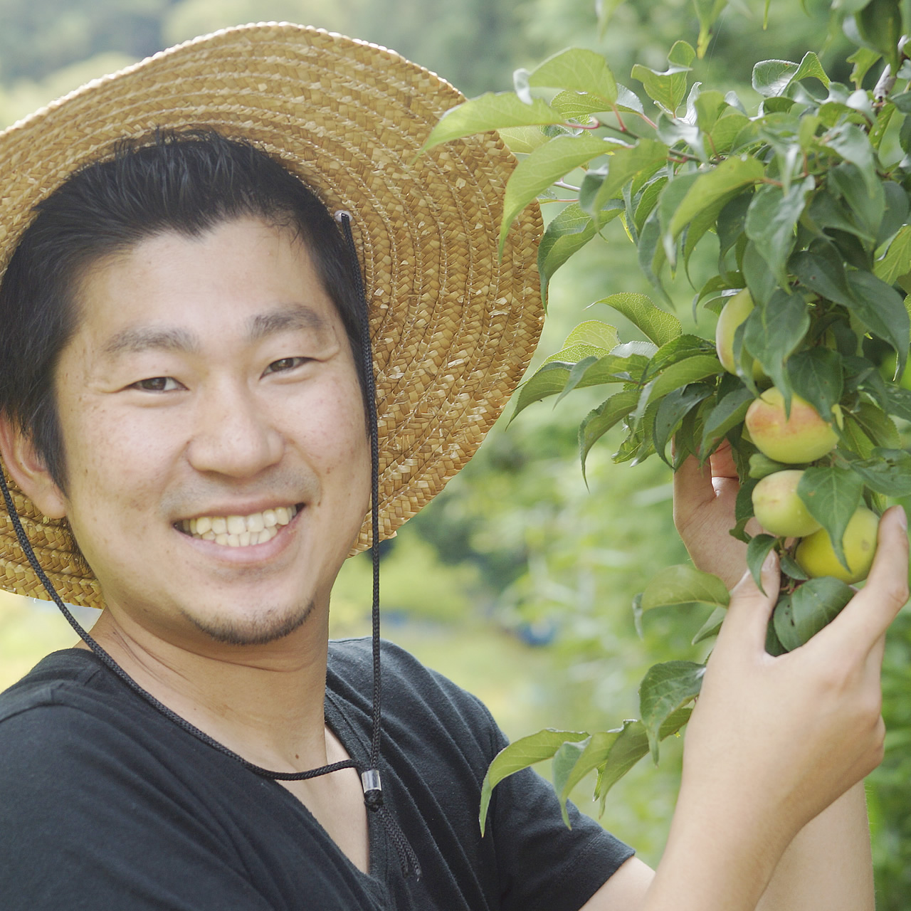 自然豊かな熊野の地で育った生梅