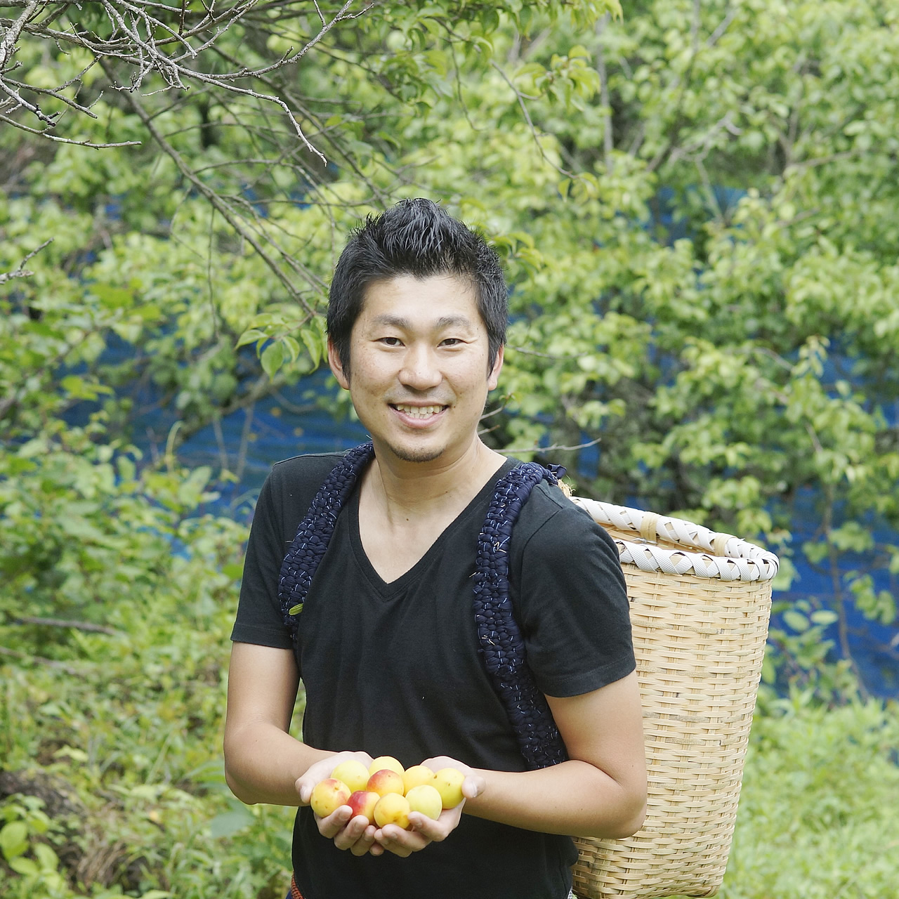 自然豊かな熊野の地で育った生梅