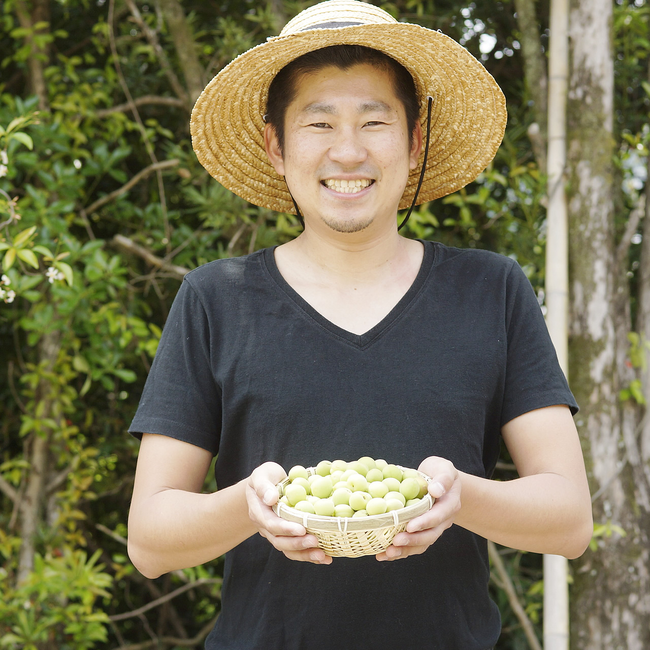 自然豊かな熊野の地で育った生梅