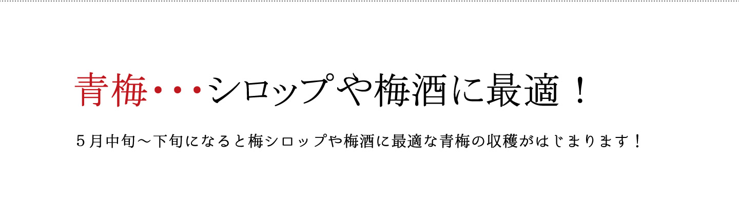 オーガニックの有機認証を受けた減塩梅干し