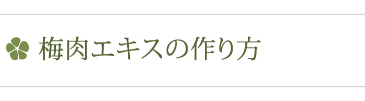 梅レシピ　梅肉エキスの作り方