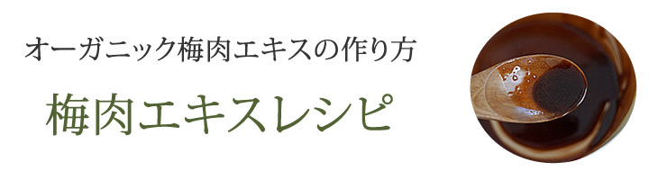 オーガニック梅肉エキスの作り方