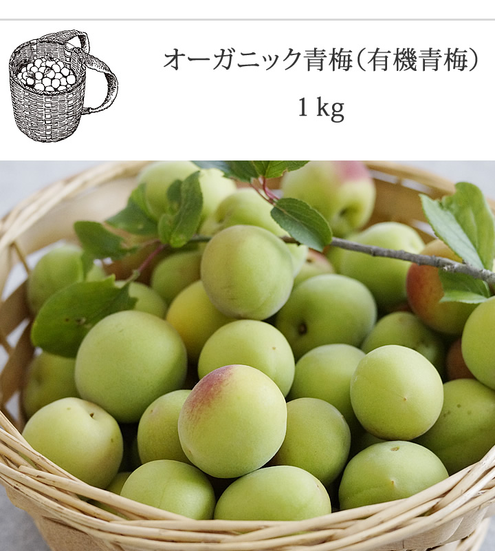 オーガニック青梅（有機青梅）1kg