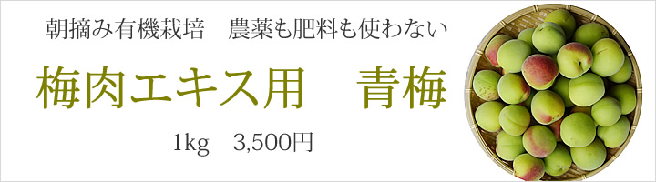 梅肉エキス用の青梅