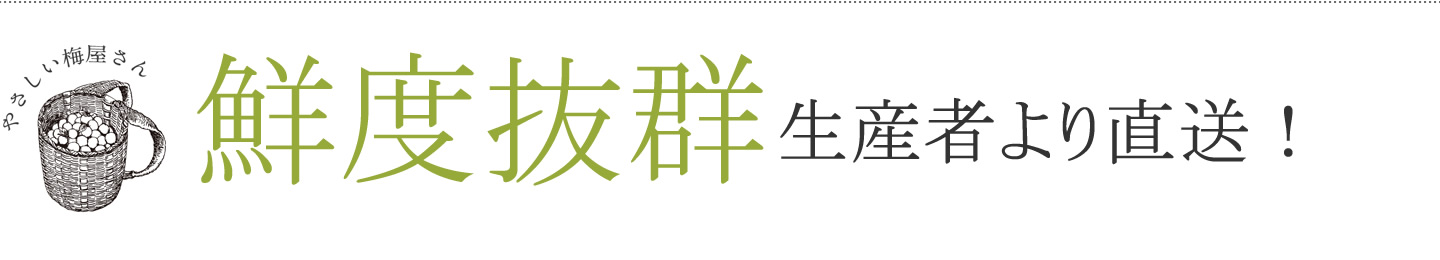 オーガニックの有機認証を受けた減塩梅干し