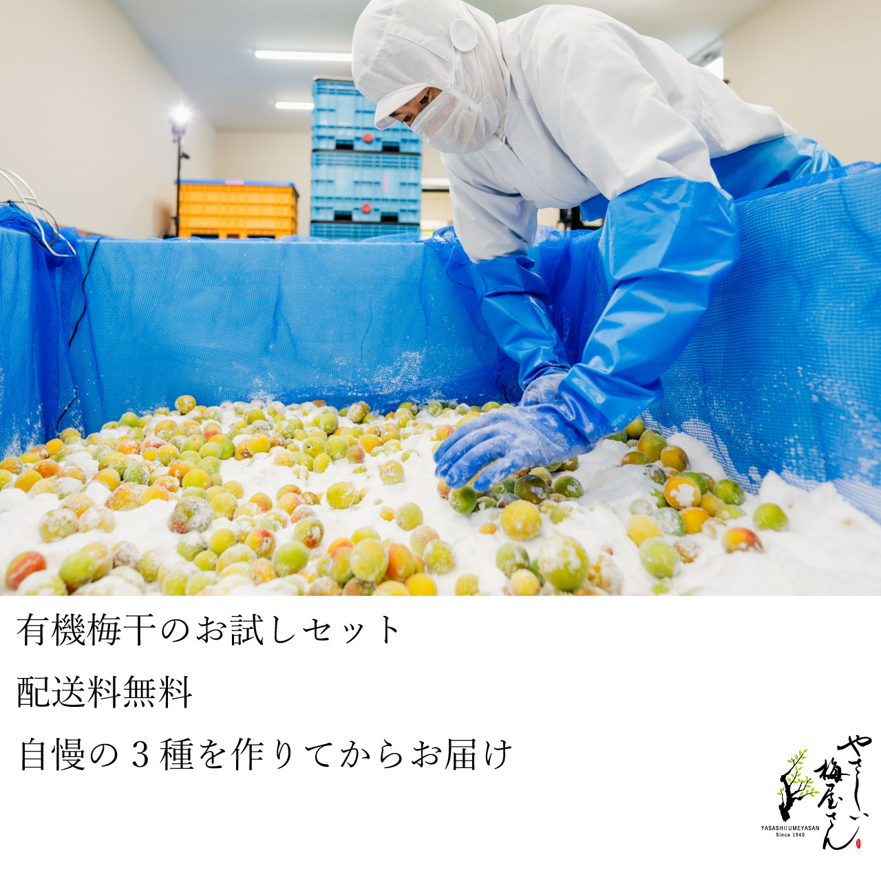 有機梅干お試しセット