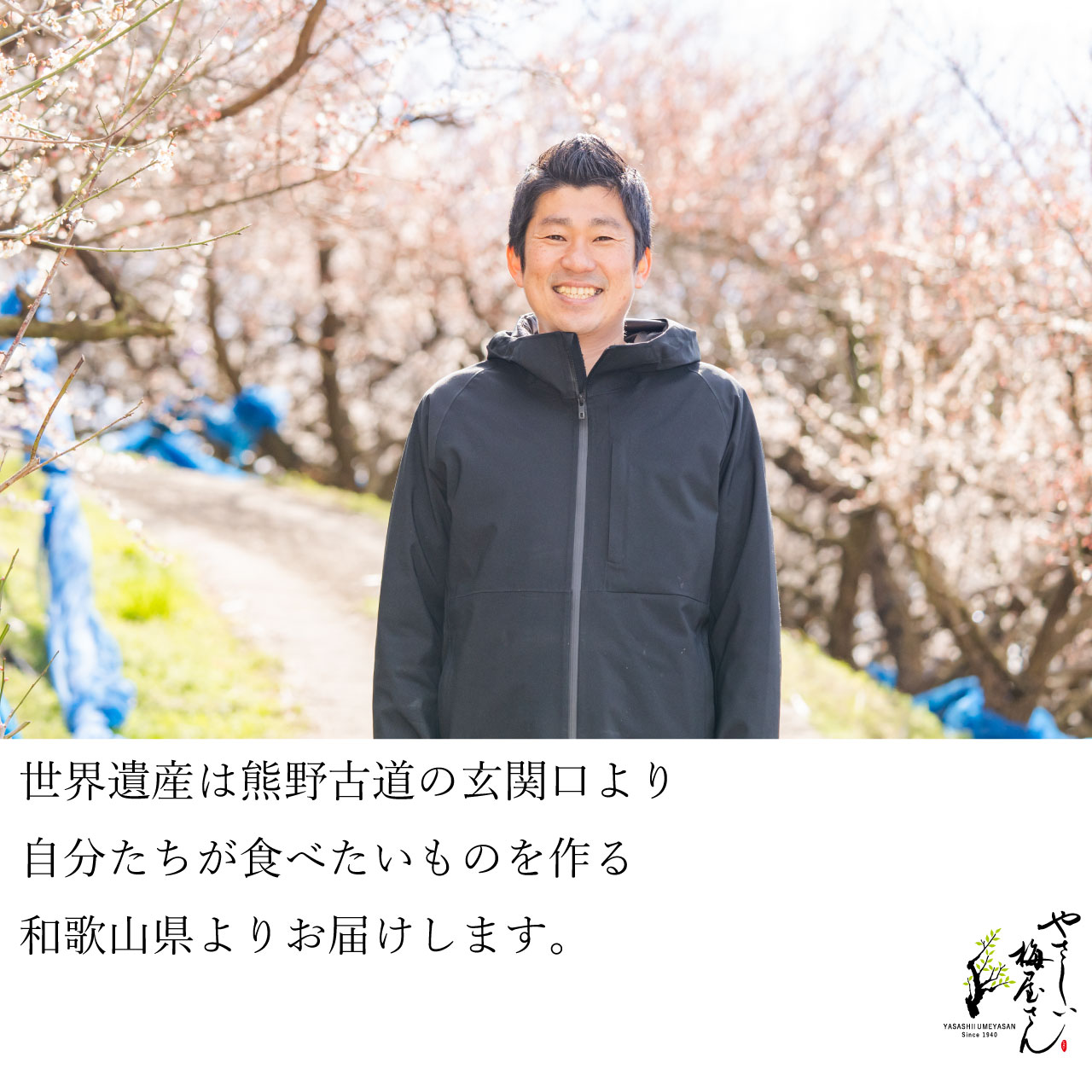 オーガニック梅干を和歌山県より