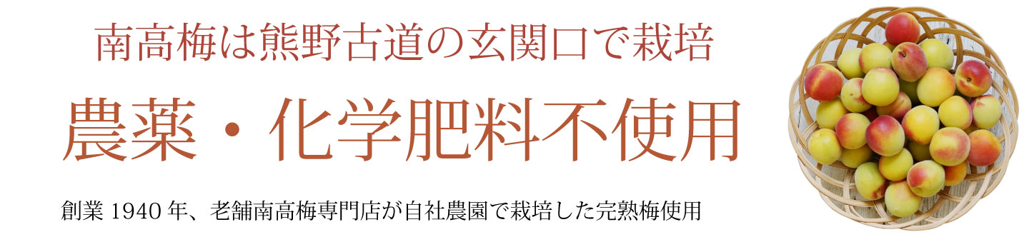 農薬・化学肥料不使用の完熟梅