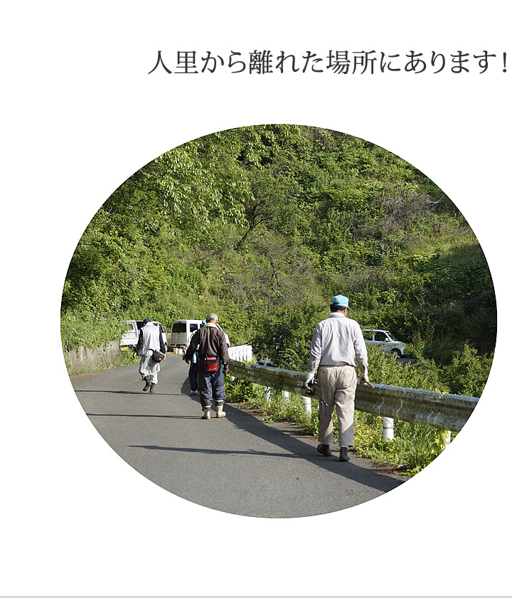 人里離れた場所にあります。
