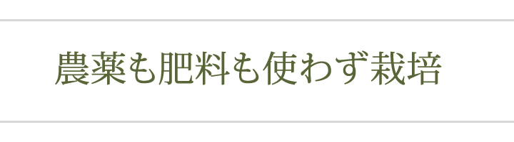 農薬も肥料も使わず栽培