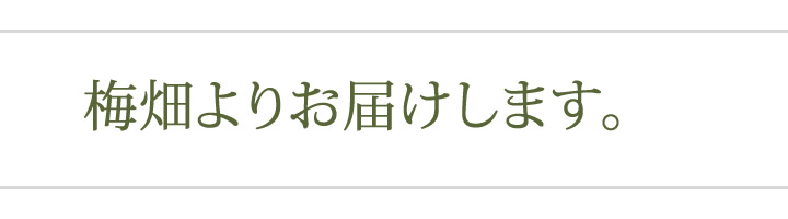 梅畑よりお届けします。