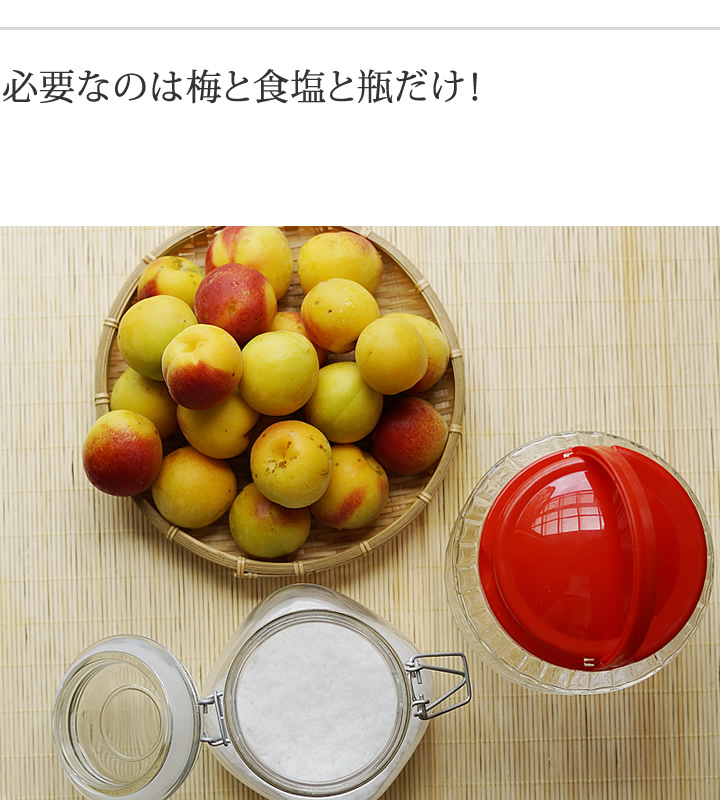 必要なのは梅と食塩と保存分だけ