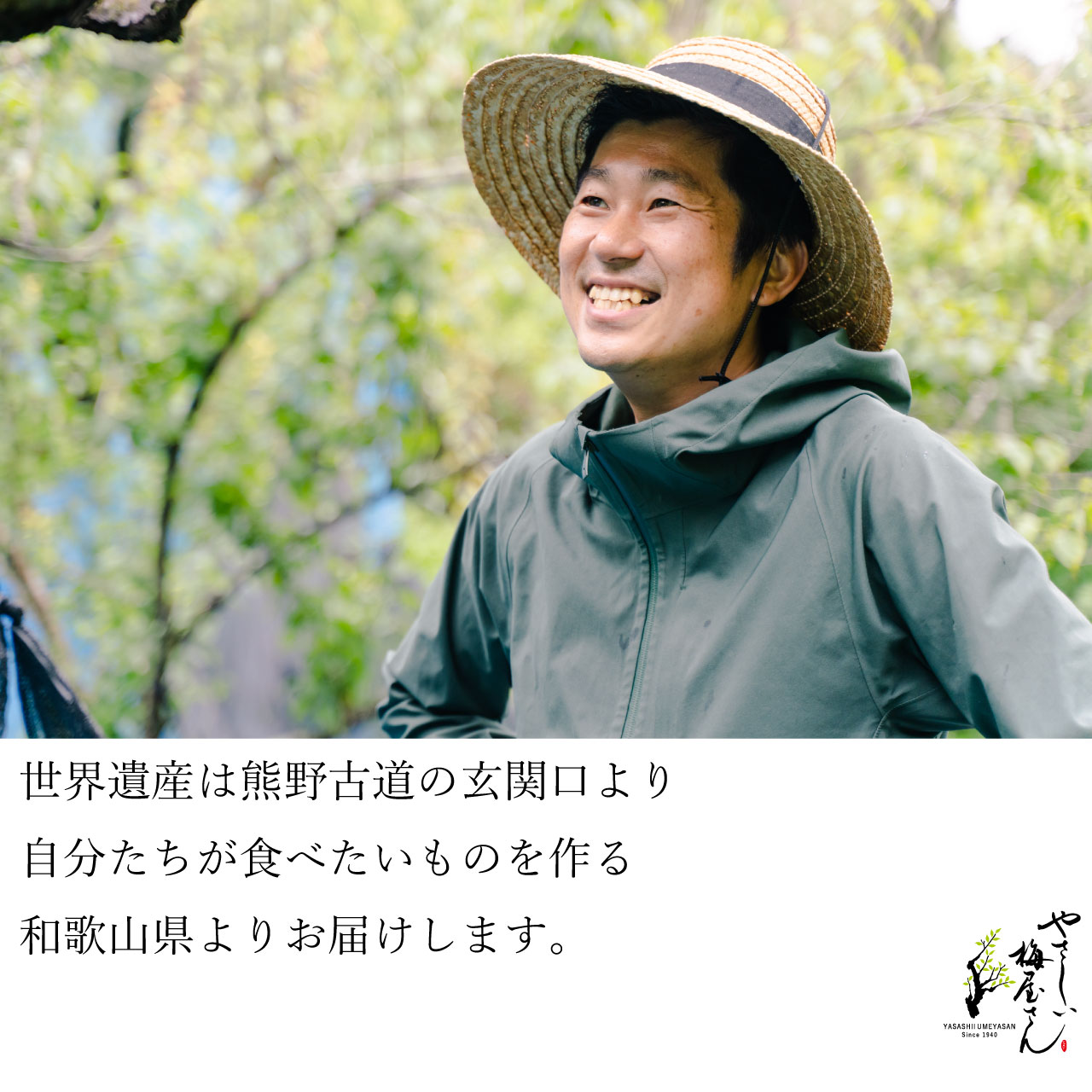 オーガニック梅酢,無農薬の梅酢を産地でもある和歌山県よりお